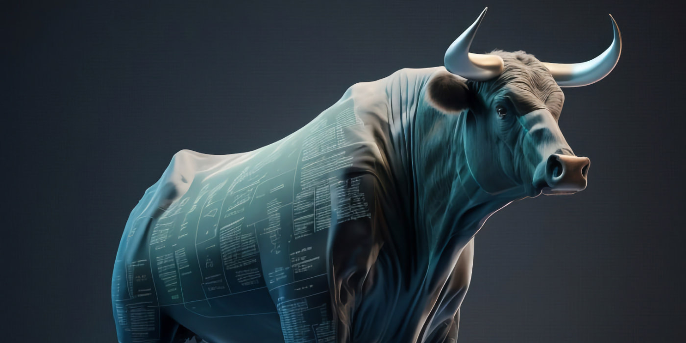 Bull Market